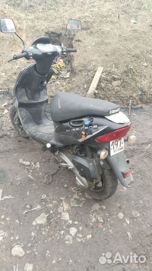 Стелс Скиф 50