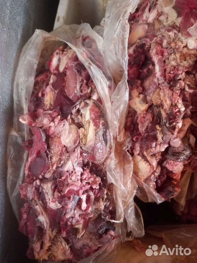 Корм- мясо для собак