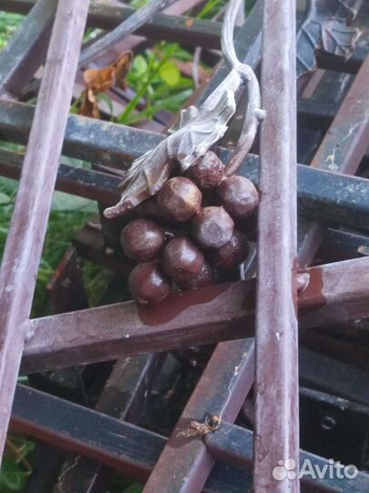 Решетки на окна