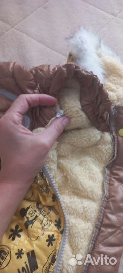 Костюм для собаки