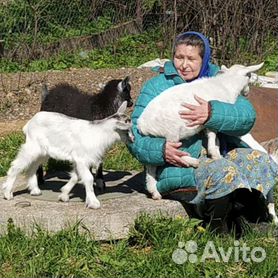 ЛПХ Милкин дом: царство коз и не только