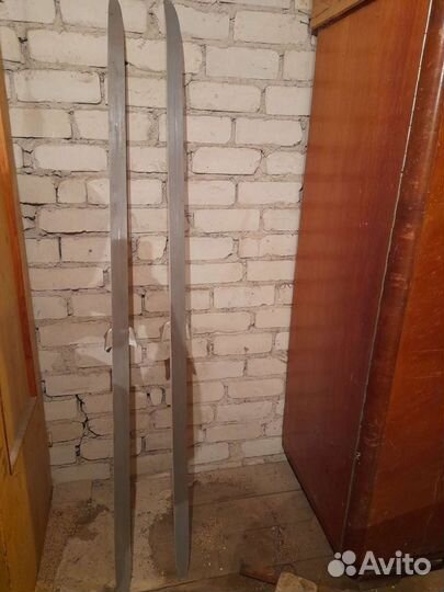 Беговые лыжи