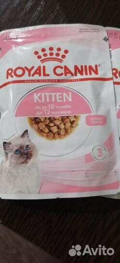 Влажный корм для котят