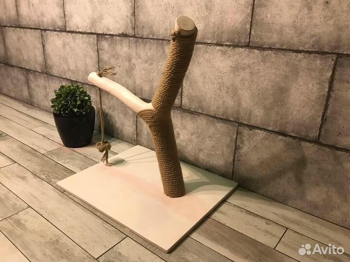 Когтеточка