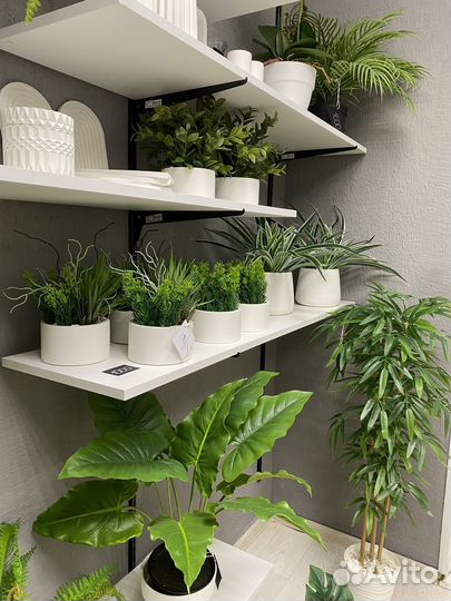 Искусственные растения, искусственная зелень