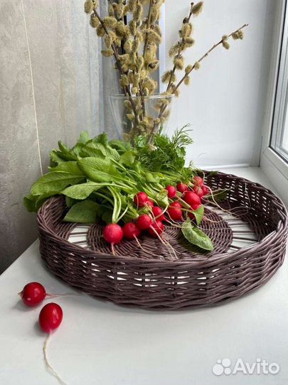 Бумажная лоза