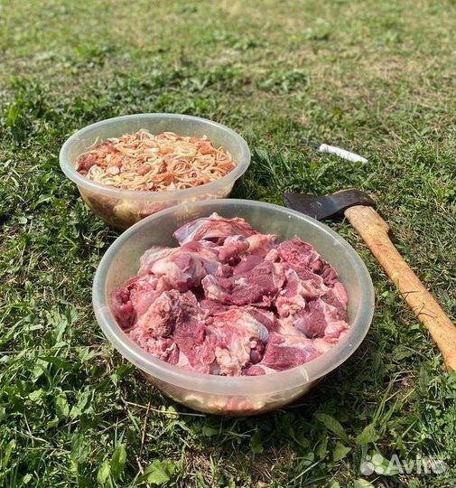 Ягнята на Мясо