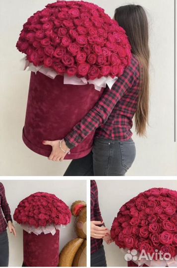 Розы 101 штука в цилиндре