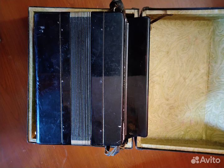 Баян Тула 202