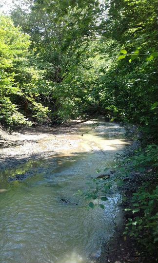 Участок 21 сот. (ИЖС)