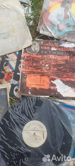 Виниловые пластинки