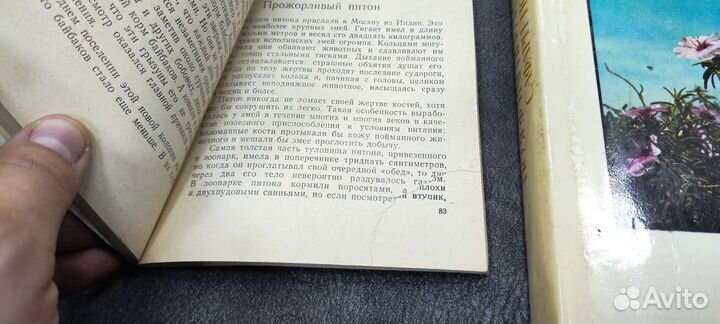 Книга Йозеф Вагнер - Сафари под Килиманджаро