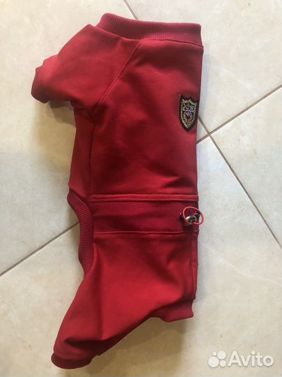 Одежда для собак