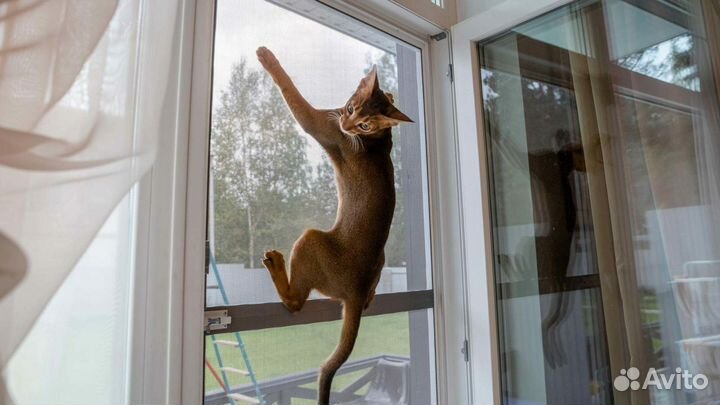 Москитная сетка