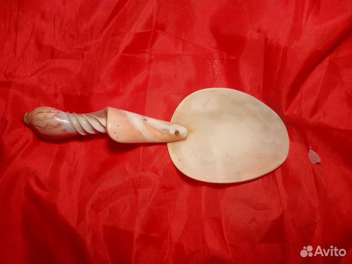 Ложка из раковины из Полинезии