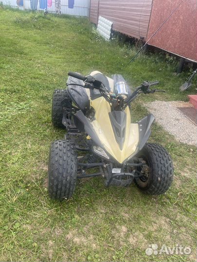 Рысь 110