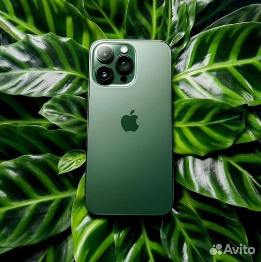iPhone 13 pro max 256 green