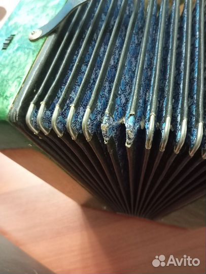 Гармонь чайка