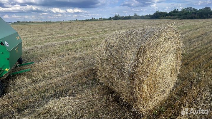 Солома пшеничная в тюках