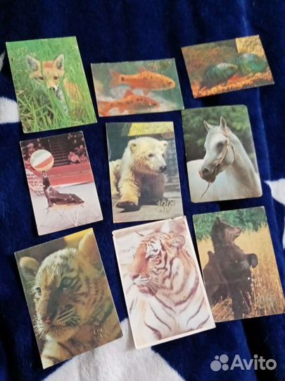 Карманные календарики