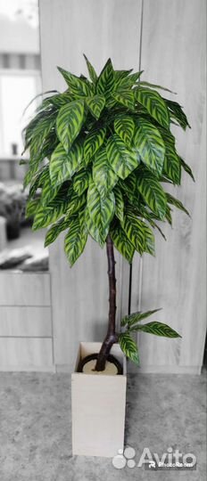 Искусственное дерево манго