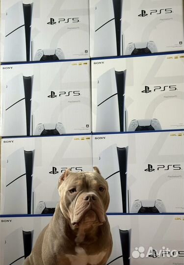 Sony PlayStation 5 Slim Disk 1TB