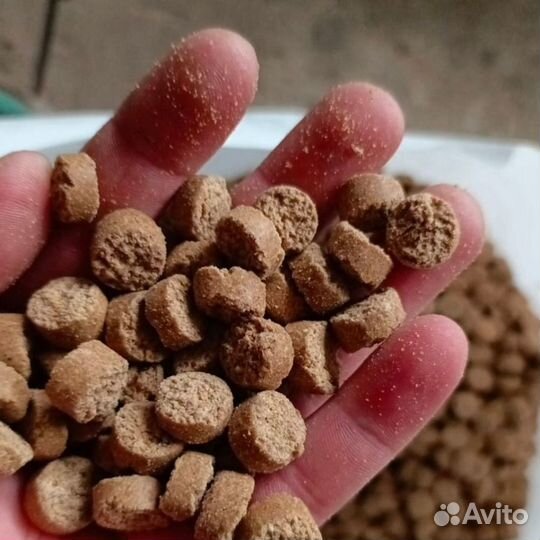 Корм для собак Большой приз Сторож 20кг