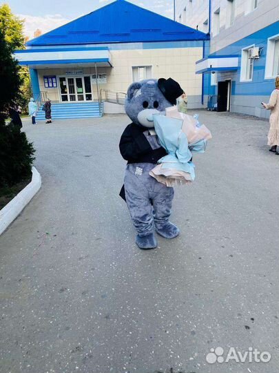 Мишка Тедди на праздник