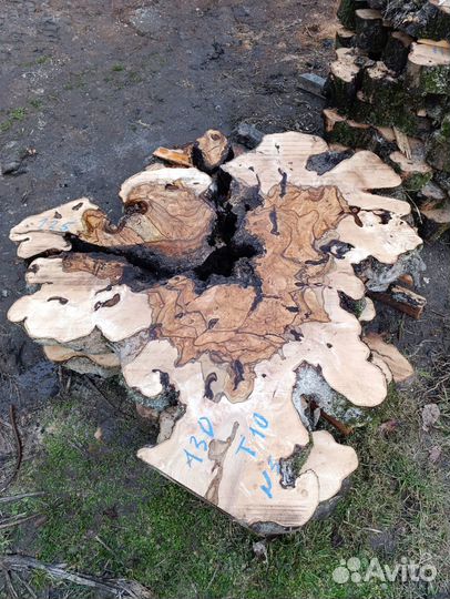 Вековые слэбы /суфели кавказского граба