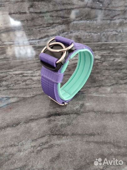 Амуниция для собак