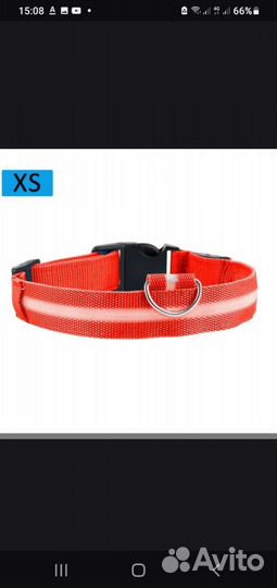 Ошейник светодиодный для собачки и шлейка