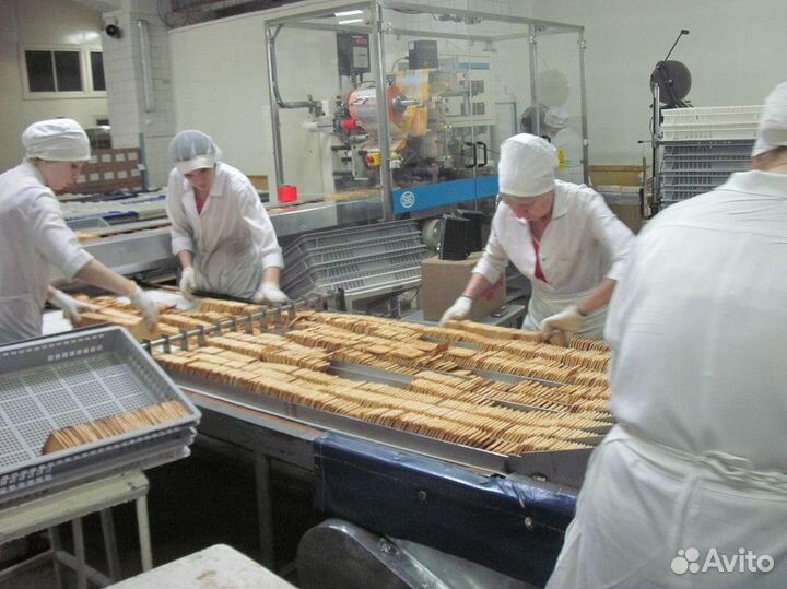 Фасовщик, производство тортов. Сладкая вахта