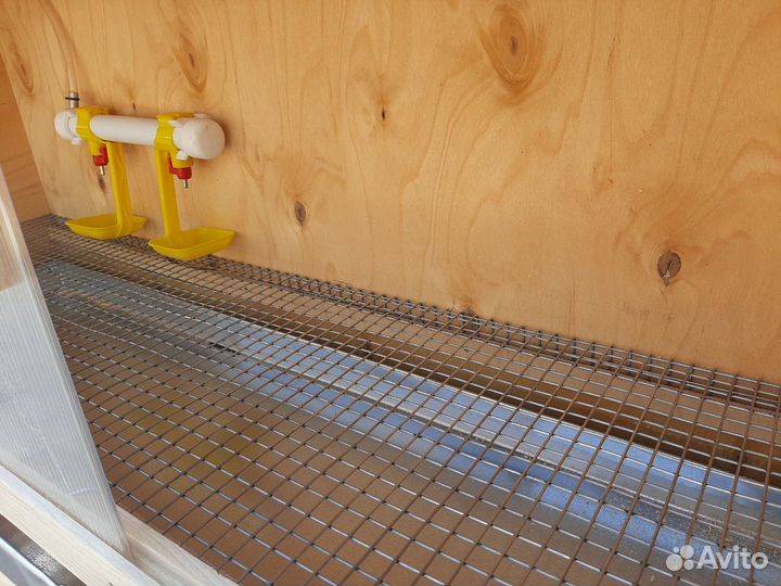 Брудер для цыплят