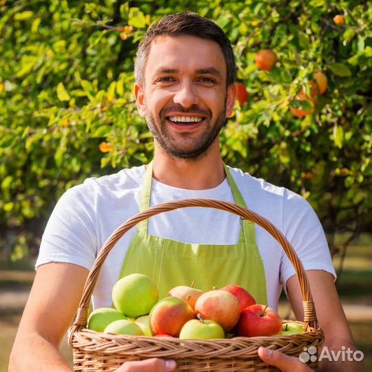 Сборщики В сад