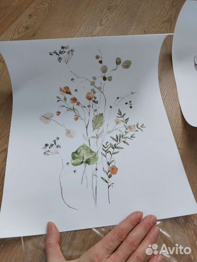 Постеры 3шт 30 на 40