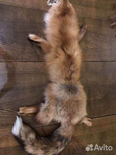 Шкурки натуральный мех