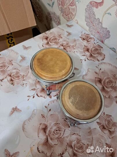 Бонго percussion