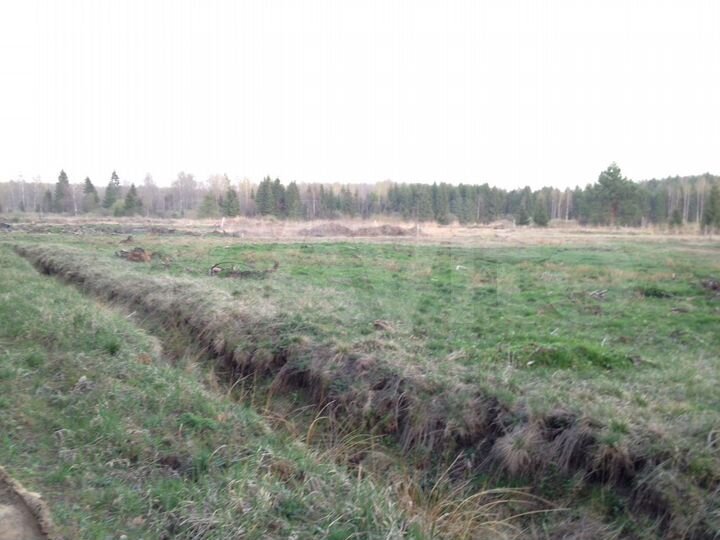 Участок 10 сот. (СНТ, ДНП)