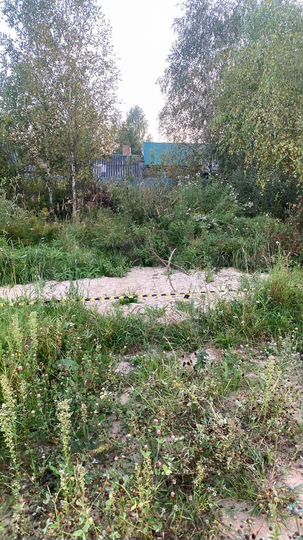 Участок 4 сот. (ИЖС)