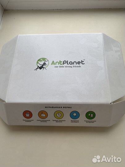 Муравьиная ферма без муравьев