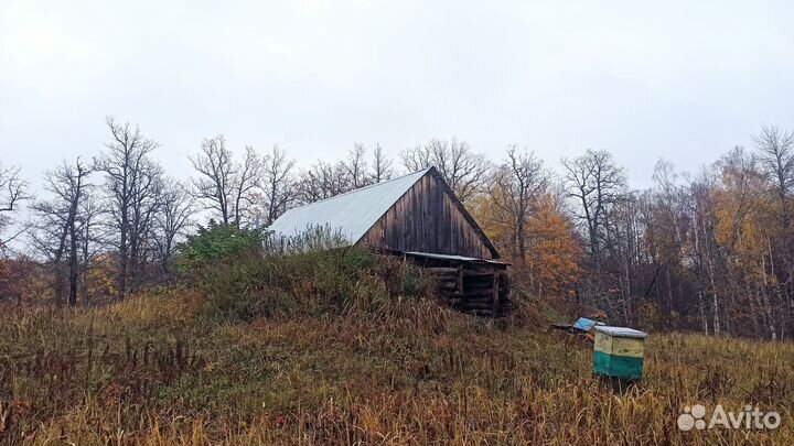 Дом с пасекой