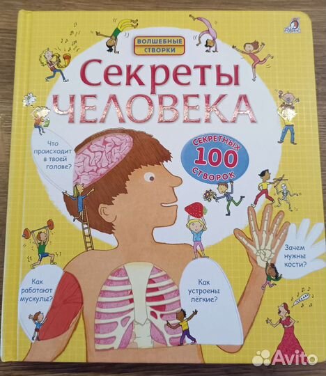Книги волшебные створки