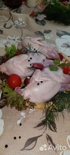 Мясо перепелов