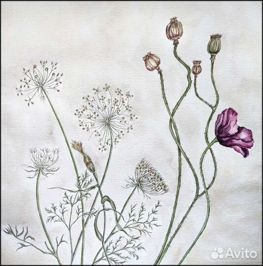 Художник иллюстратор