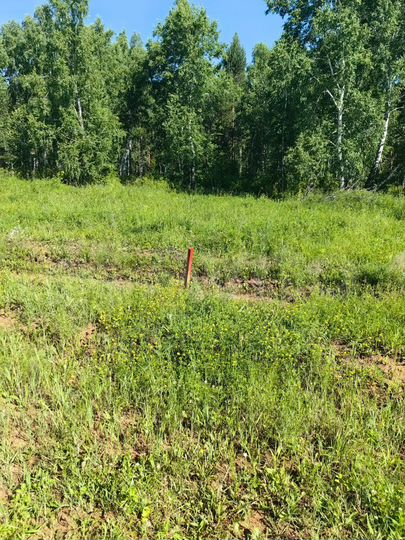 Участок 19 сот. (ИЖС)