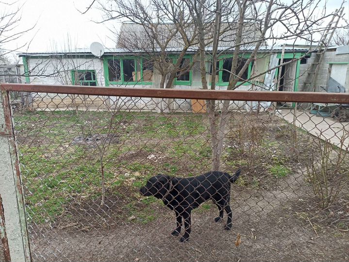 Дом 64,2 м² на участке 38 сот.