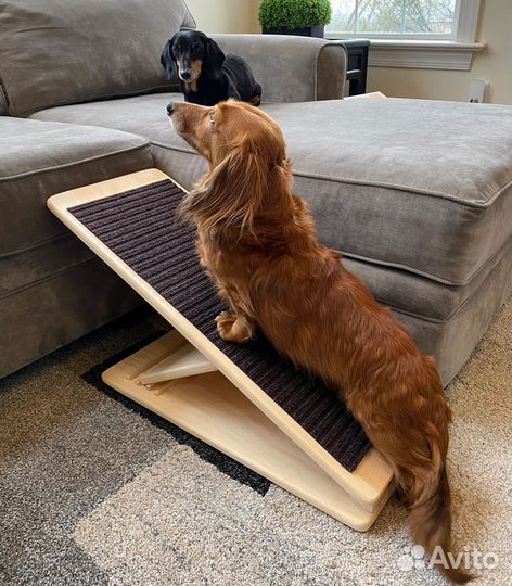 Пандус для собак