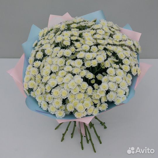 Ромашки, хризантема, букет с ромашек, доставка