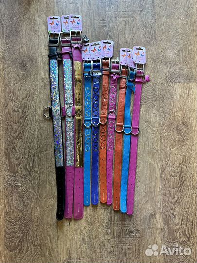 Амуниция для собак оптом