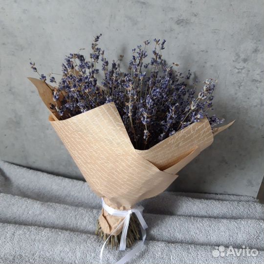 Лаванда сухоцвет